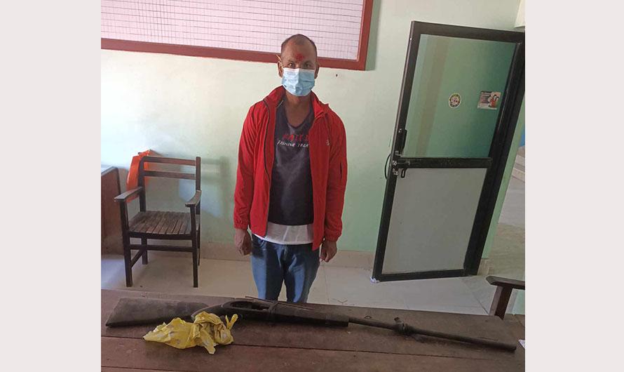 कैलालीमा भरुवा बन्दुकसहित एक पक्राउ