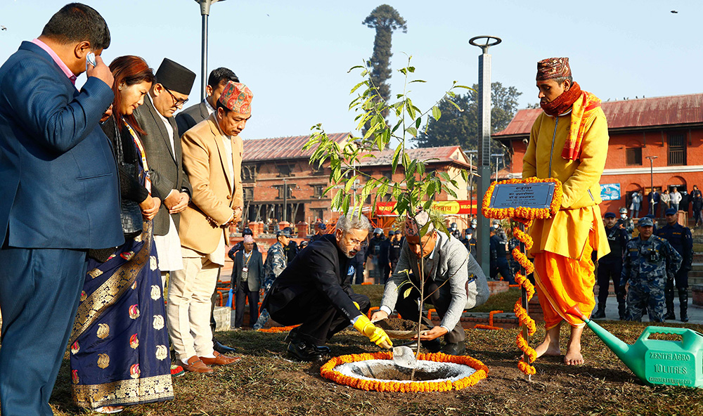 जयशंकरले रोपे पशुपतिमा रूद्राक्षको विरूवा