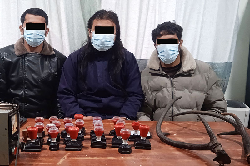 नक्कली सरकारी छाप र जरायाको सिङसहित तीन जना पक्राउ