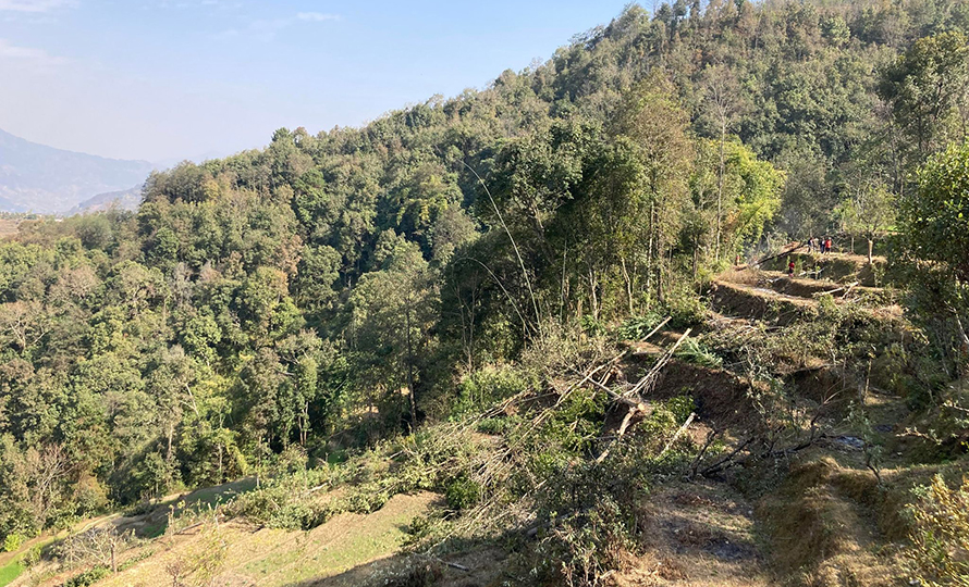 १५ वर्ष साउदी बसेर फर्केपछि गाउँमा झाडी फाँडेर सुन्तलाखेती